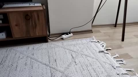 Snapshot of thefckngcber chatting on 28, 9, 2025 thefckngcber online show from 28, 9, 2025