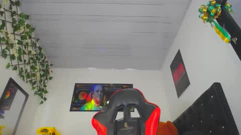 Prince online show from 2, 12, 2024