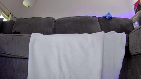 Snapshot of thegreat6268469 chatting on 12, 9, 2025 thegreat6268469 online show from 12, 9, 2025