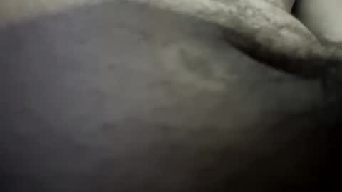 thehousedog online show from 17, 1, 2026