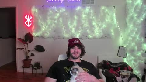 Johnny Stone online show from 5, 3, 2026