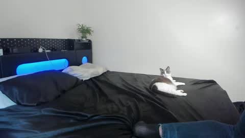 Johnny Stone online show from 22, 4, 2026