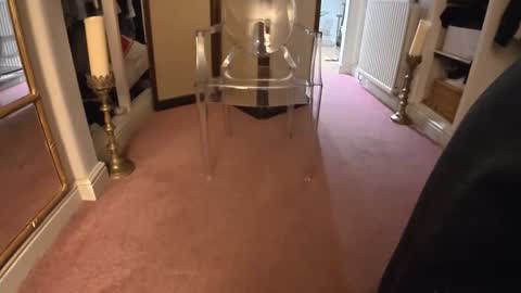 theladyduchess online show from 7, 2, 2026