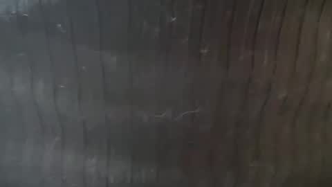 Lucy Lucy online show from 22, 11, 2025