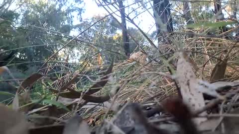 Snapshot of therealkurva4u chatting on 2, 1, 2025 therealkurva4u online show from 2, 1, 2025