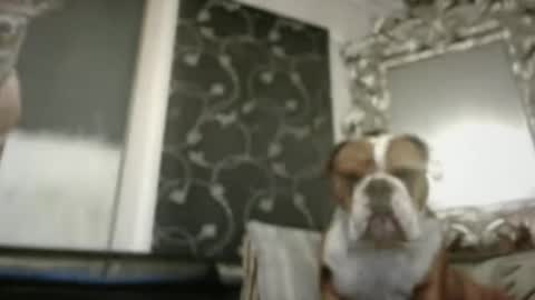 Snapshot of therealkurva4u chatting on 9, 2, 2025 therealkurva4u online show from 9, 2, 2025