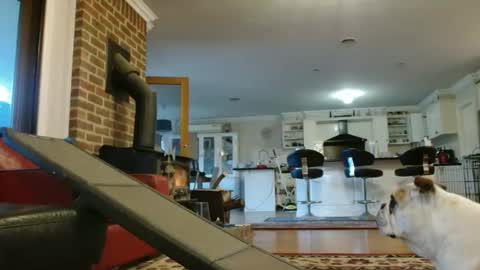 Snapshot of therealkurva4u chatting on 25, 9, 2025 therealkurva4u online show from 25, 9, 2025