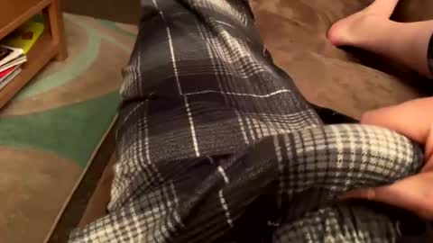 Snapshot of therealpietro77 chatting on 2, 2, 2025 therealpietro77 online show from 2, 2, 2025