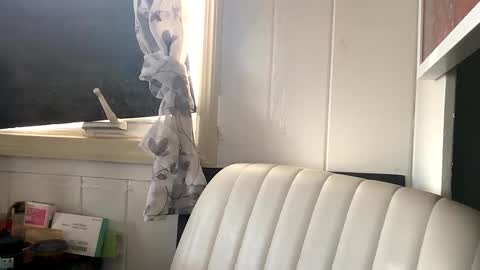 The Sasha Domme online show from 6, 10, 2025