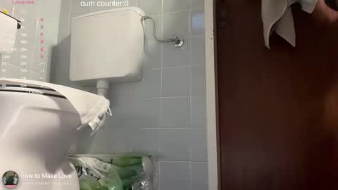 Snapshot of thesearchofgod chatting on 12, 2, 2026 LISA online show from 12, 2, 2026