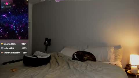 Selina Kyle online show from 24, 1, 2025