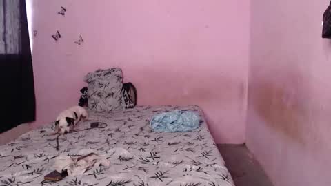 Snapshot of tianiiss_sweet chatting on 6, 11, 2025 Tiana online show from 6, 11, 2025