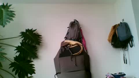 Snapshot of tiaretiareopui chatting on 31, 10, 2025 tiaretiareopui online show from 31, 10, 2025