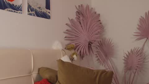 tiffanyjons online show from 28, 2, 2025