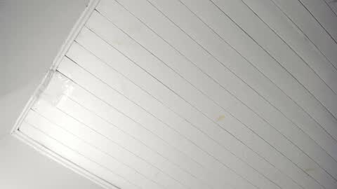 Tiffany online show from 22, 11, 2025