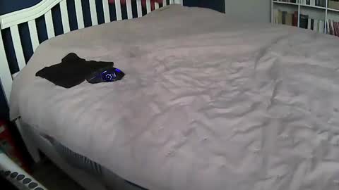 Snapshot of tigerek_i_m chatting on 11, 2, 2025 tigerek_i_m online show from 11, 2, 2025