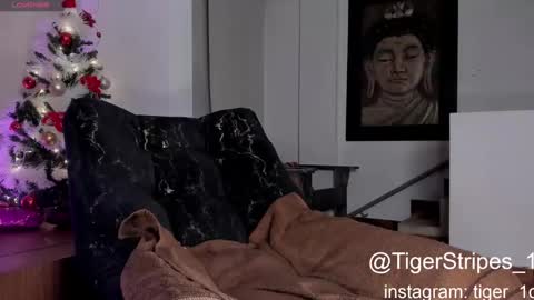 Snapshot of tigerstripes_ chatting on 29, 12, 2024 Chris online show from 29, 12, 2024