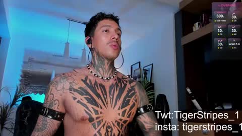 Snapshot of tigerstripes_ chatting on 22, 2, 2025 Chris online show from 22, 2, 2025