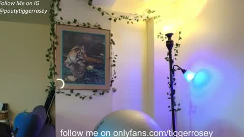 Snapshot of tiggerrosey chatting on 26, 3, 2026 All my Links online show from 26, 3, 2026