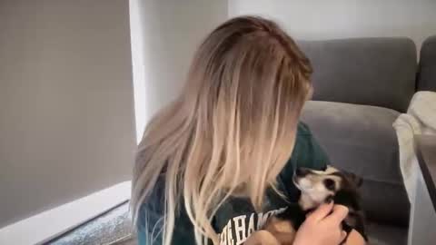 Snapshot of tigoldbitties11 chatting on 20, 2, 2026 Lexi online show from 20, 2, 2026