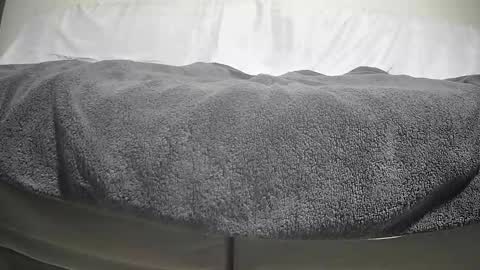 Snapshot of timeisgone chatting on 29, 9, 2025 Casey online show from 29, 9, 2025