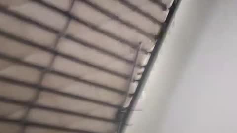 timmy808808 online show from 3, 1, 2025