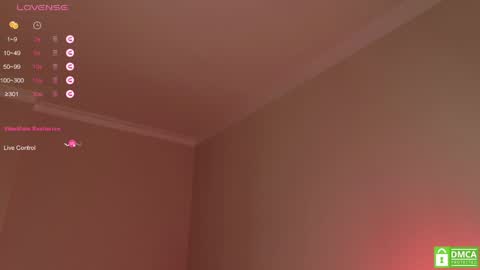 Snapshot of tinkerdinky chatting on 25, 12, 2024 Polly online show from 25, 12, 2024