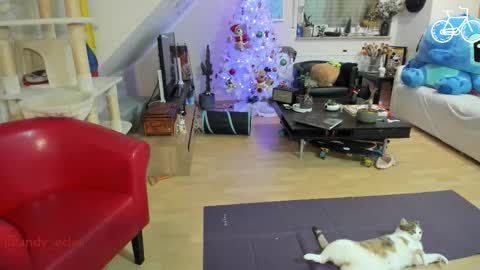 Tiny online show from 3, 12, 2025