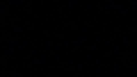 Snapshot of tinydaisy22 chatting on 5, 12, 2025 tinydaisy22 online show from 5, 12, 2025