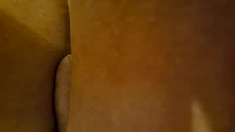 Snapshot of toadinhole chatting on 22, 12, 2024 Toady online show from 22, 12, 2024