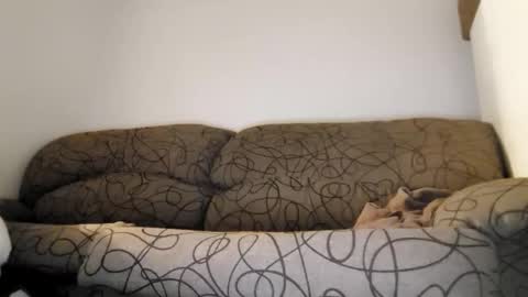 Snapshot of toffbuck chatting on 9, 2, 2026 ToffBuck online show from 9, 2, 2026