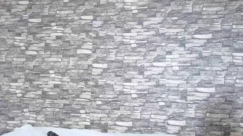 Snapshot of tokyosky chatting on 2, 2, 2026 Tokyo online show from 2, 2, 2026