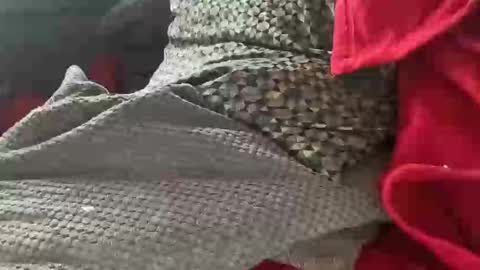 Snapshot of tom6644 chatting on 9, 1, 2025 Tom online show from 9, 1, 2025