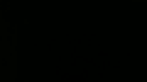 Snapshot of tomandjudy chatting on 16, 11, 2025 Bear and Chaw online show from 16, 11, 2025