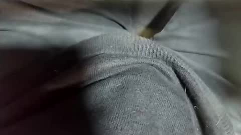 Tomas online show from 12, 2, 2025