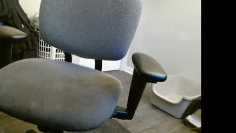 Snapshot of tooobvious chatting on 6, 3, 2025 tooobvious online show from 6, 3, 2025