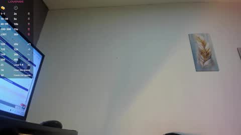 Snapshot of toower_ chatting on 26, 2, 2026 T O W E R online show from 26, 2, 2026