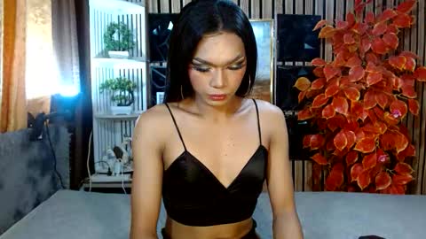 Snapshot of toptrans_venice chatting on 20, 2, 2026 toptrans venice online show from 20, 2, 2026