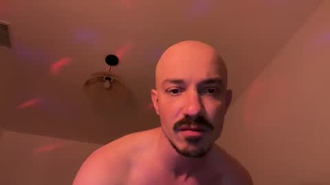 torrobxl online show from 7, 6, 2026