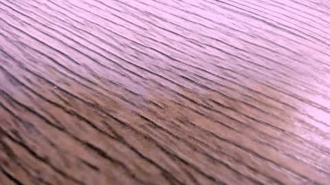 toshi_dakxxx online show from 2, 4, 2026