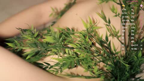 Toshi online show from 30, 3, 2026