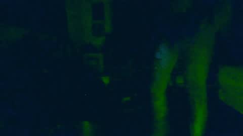 toxicidad_sex online show from 4, 6, 2026