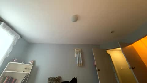 Snapshot of transgirl007 chatting on 24, 5, 2026 transgirl007 online show from 24, 5, 2026