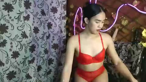transhimari online show from 3, 5, 2026