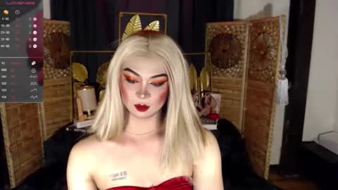 transsitips online show from 25, 4, 2026