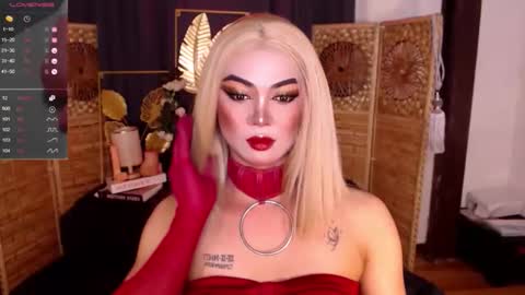 transsitips online show from 26, 4, 2026