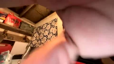 trees559 online show from 26, 2, 2026