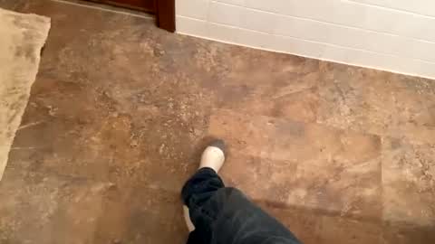 Mystic allusion online show from 8, 12, 2024