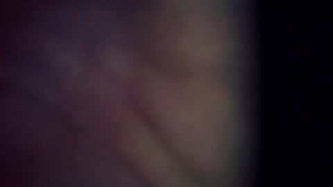 trex23rd online show from 6, 3, 2026