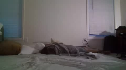 trickquestion online show from 8, 2, 2025